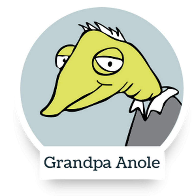 Grandpa Anole