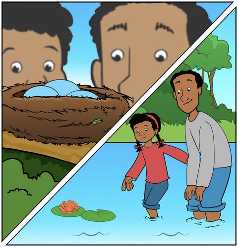 We see a split screen of two triangles. In the top triangle, Casey and her dad are pointing up excitedly at a nest of robins. In the bottom triangle, they are wading in a pond knee-deep and looking at the waterlilies.