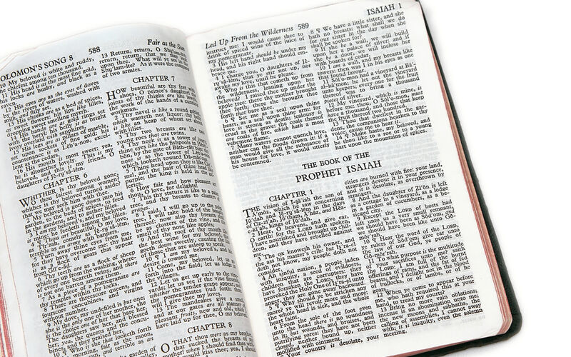 Family Advent: Week 1- The Prophecy